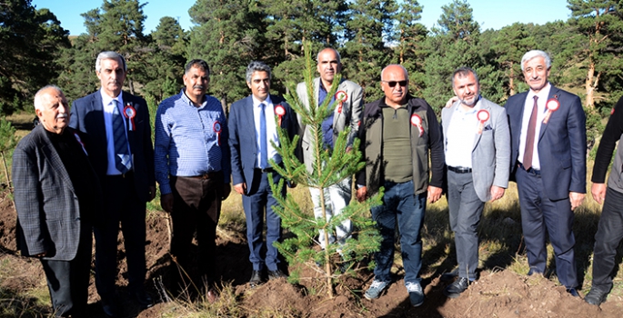 Kars'ta Sarıkamış ve Çanakkale şehitleri anısına hatıra ormanı oluşturuldu