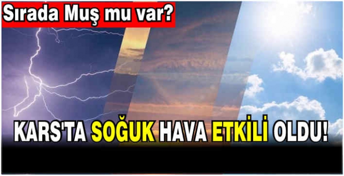 Kars'ta soğuk hava etkili oldu! Sırada Muş mu var?