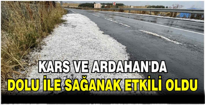 Kars ve Ardahan'da dolu ile sağanak etkili oldu