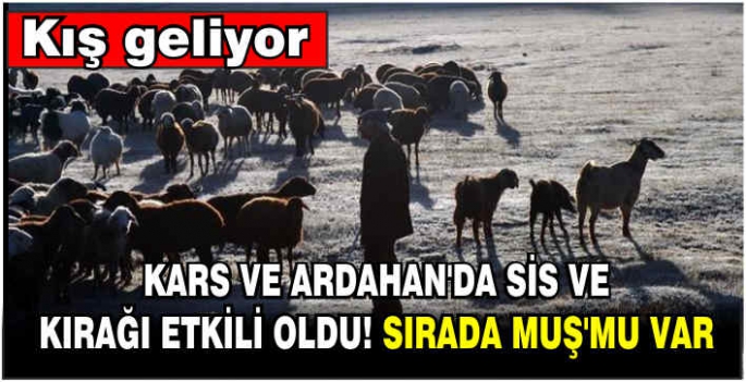 Kars ve Ardahan’da sis ve kırağı etkili oldu! Sırada Muş mu var?