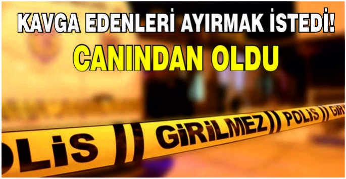 Kavga edenleri ayırmak istedi! Canından oldu