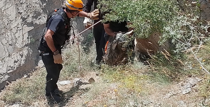 Kayalıklarda mahsur kalan kurbanlık keçi kurtarıldı