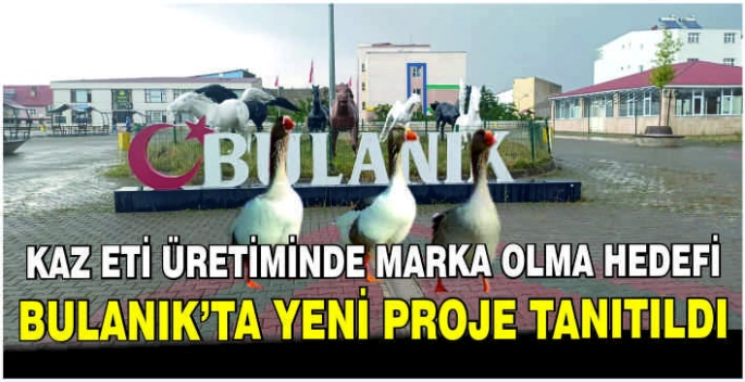 Kaz eti üretiminde marka olma hedefi: Bulanık’ta yeni proje tanıtıldı