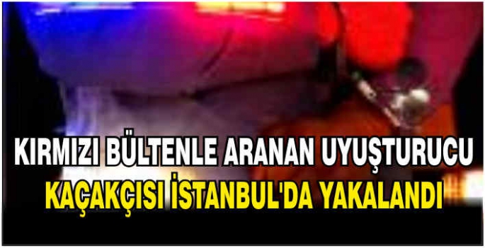 Kırmızı bültenle aranan uyuşturucu kaçakçısı İstanbul'da yakalandı