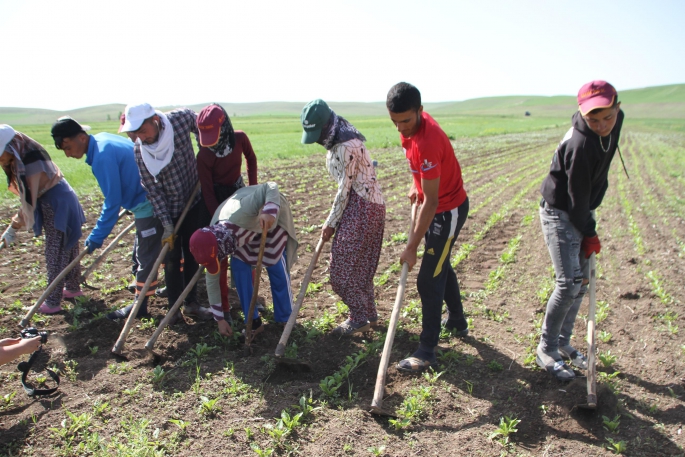 Kısıtlamadan muaf olan çiftçiler Bayramda tarlaya koştu