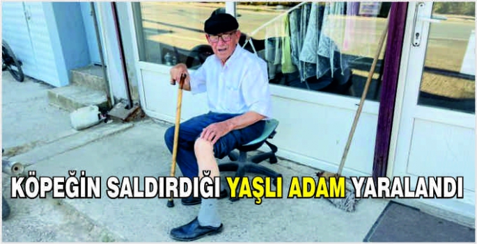 Köpeğin saldırdığı yaşlı adam yaralandı