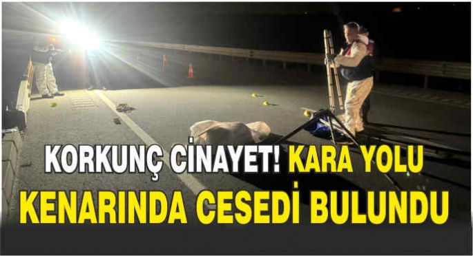 Korkunç cinayet! Kara yolu kenarında cesedi bulundu