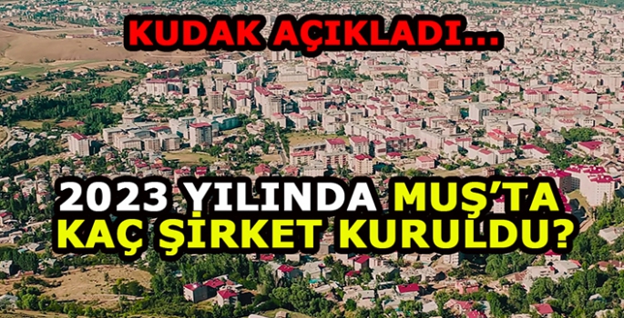 KUDAKA İstatistiklerine göre en çok şirket kurulan iller arasında Muş kaçıncı sırada?