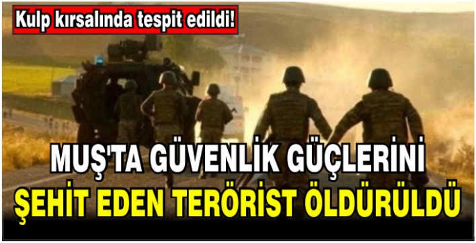 Kulp kırsalında tespit edildi! Muş’ta güvenlik güçlerini şehit eden terörist öldürüldü