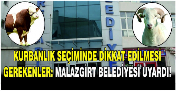 Kurbanlık seçiminde dikkat edilmesi gerekenler: Malazgirt belediyesi uyardı