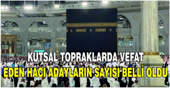 Kutsal topraklarda 17 Türk hacı adayı hayatını kaybetti