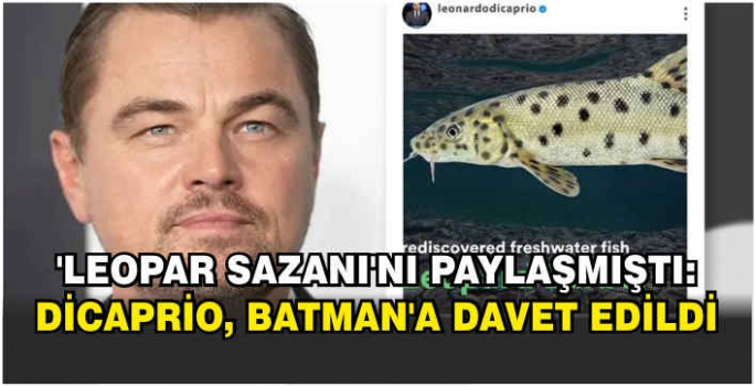 'Leopar sazanı'nı paylaşmıştı: DiCaprio, Batman’a davet edildi