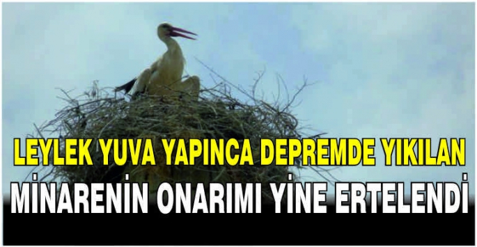 Leylek yuva yapınca depremde yıkılan minarenin onarımı yine ertelendi