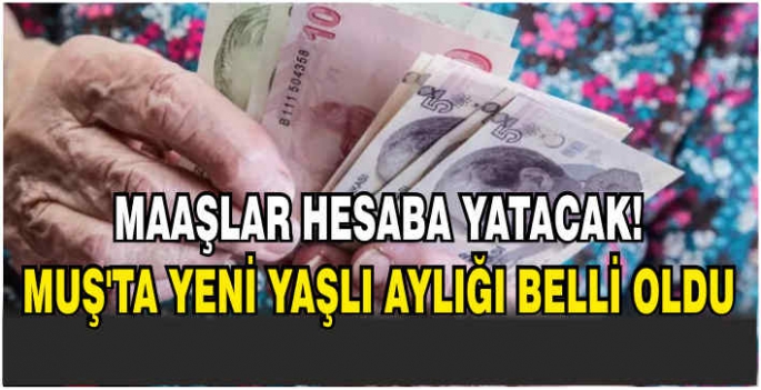 Maaşlar hesaba yatacak! Muş’ta yeni yaşlı aylığı belli oldu