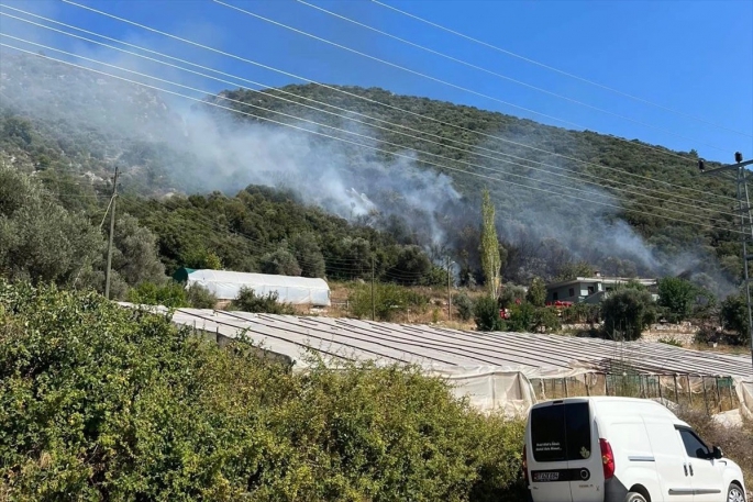 Makilik alanda çıkan yangın korkuttu