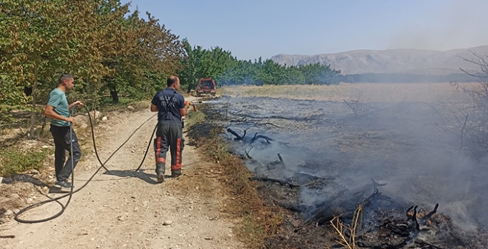 Malatya'nın 2 ilçesinde çıkan anız ve bahçe yangınları söndürüldü