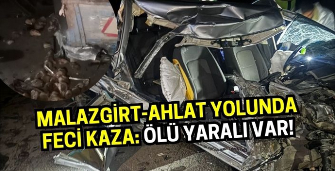 Malazgirt-Ahlat yolunda feci kaza: Ölü yaralı var!