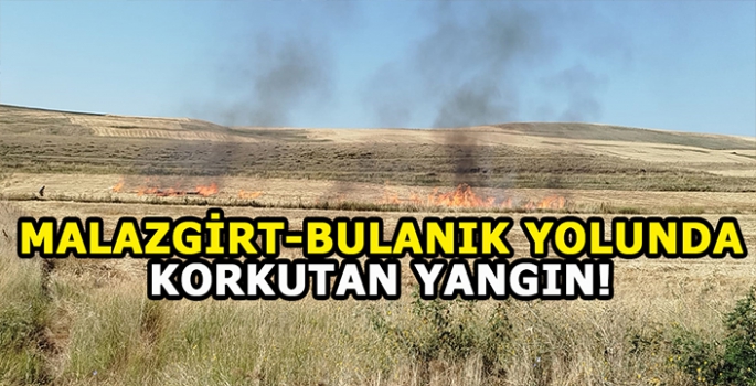 Malazgirt-Bulanık yolunda korkutan yangın: Yanmaya devam ediyor