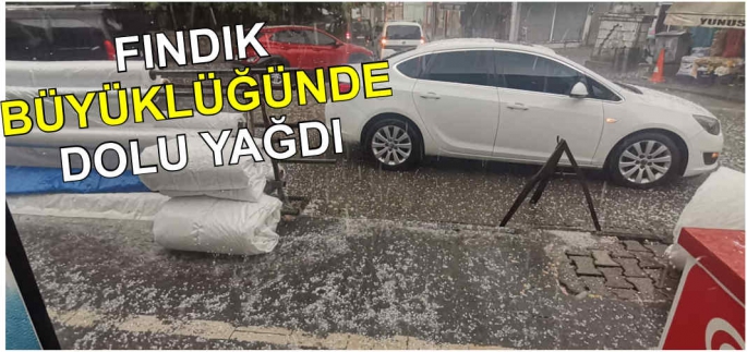 Malazgirt'te Dolu ve Sağanak Yağış Hayatı Olumsuz Etkiledi