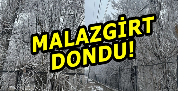 Malazgirt dondu: Hayat durma noktasına geldi!