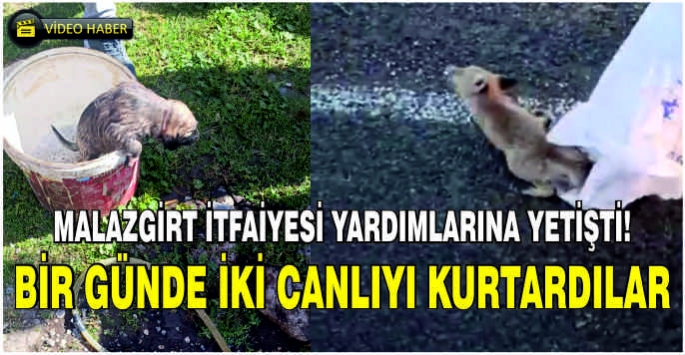 Malazgirt itfaiyesi yardımlarına yetişti! Bir günde iki canlıyı kurtardılar