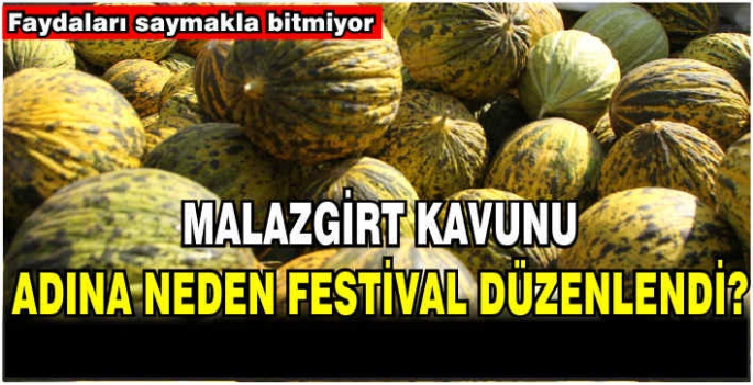 Malazgirt kavunu adına neden festival düzenlendi? Sağlığa faydası nelerdir! Faydaları saymakla bitmiyor…