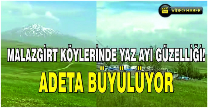 Malazgirt köylerinde yaz ayı güzelliği! Adeta büyülüyor