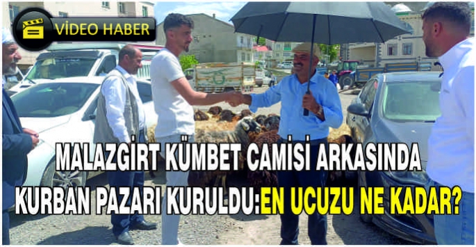 Malazgirt Kümbet Camisi arkasında Kurban pazarı kuruldu: En ucuzu ne kadar?  