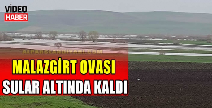 Malazgirt ovası sular altında kaldı