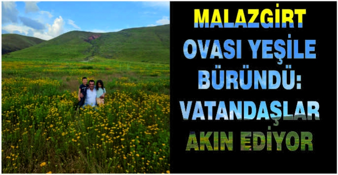 Malazgirt ovası yeşile büründü: Vatandaşlar akın ediyor