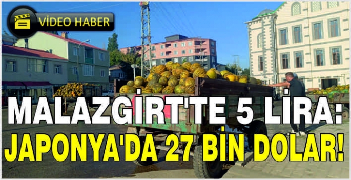 Malazgirt’te 5 lira: Japonya’da 27 bin dolar!