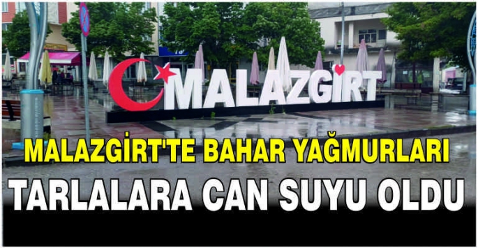 Malazgirt’te bahar yağmurları tarlalara can suyu oldu