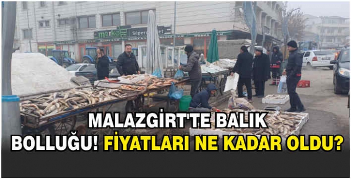 Malazgirt’te balık bolluğu! Fiyatları ne kadar oldu?