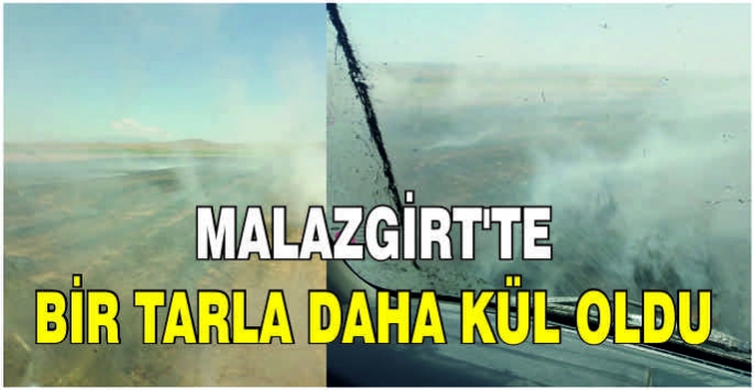 Malazgirt'te bir tarla daha kül oldu