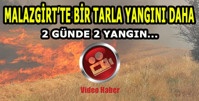 Malazgirt’te bir tarla yangını daha: 2 Günde iki tarla…