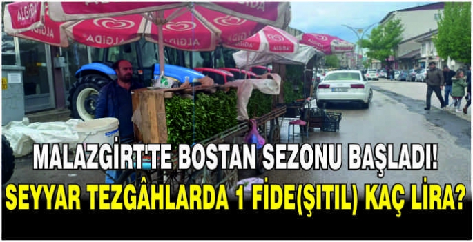 Malazgirt’te bostan sezonu başladı! Seyyar tezgâhlarda 1 fide(Şıtıl) kaç lira?