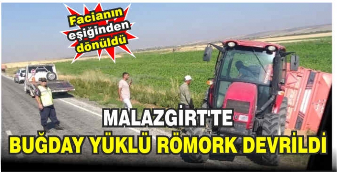 Malazgirt’te buğday yüklü römork devrildi