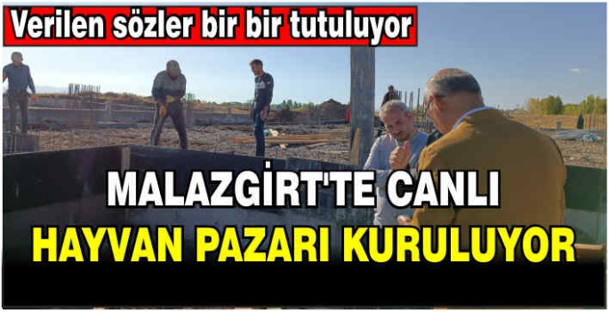 Malazgirt’te canlı hayvan pazarı kuruluyor