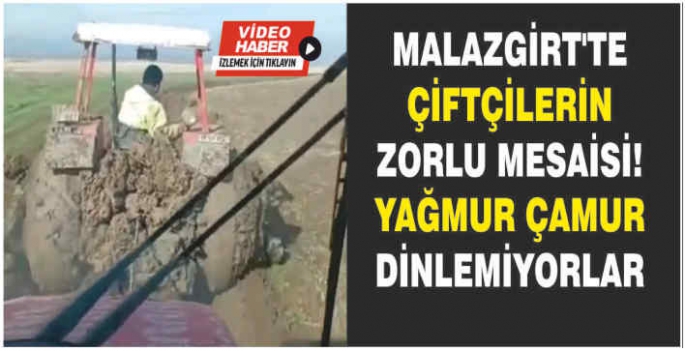 Malazgirt’te çiftçilerin zorlu mesaisi! Yağmur çamur dinlemiyorlar