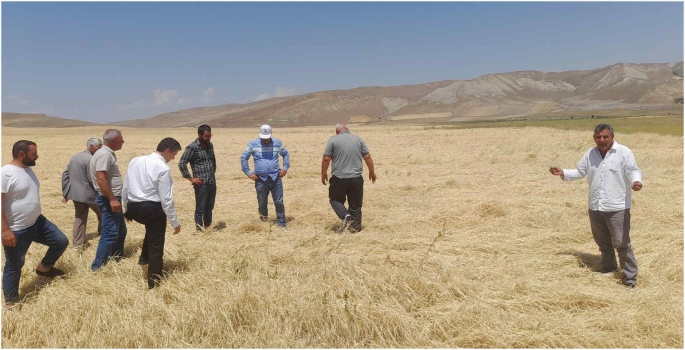 Malazgirt'te dolu tarım alanlarının zarar görmesine yol açtı