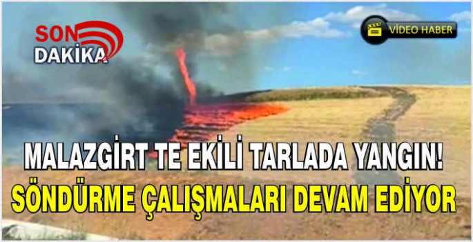 Malazgirt’ te ekili tarlada yangın! Söndürme çalışmaları devam ediyor