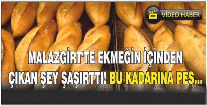 Malazgirt’te ekmeğin içinden çıkan şey şaşırttı! Bu kadarına pes…