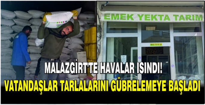 Malazgirt’te havalar ısındı! Vatandaşlar tarlalarını gübrelemeye başladı