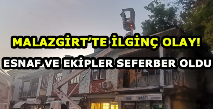 Malazgirt’te ilginç olay! Esnaf ve ekipler seferber oldu