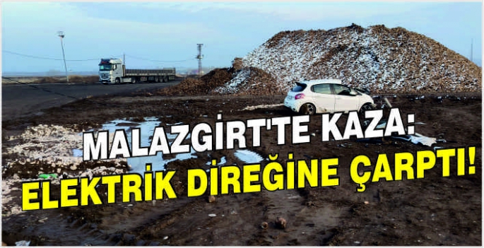 Malazgirt'te kaza: Elektrik direğine çarptı