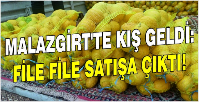 Malazgirt'te kış geldi: File file satışa çıktı!