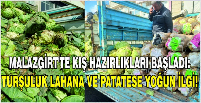 Malazgirt'te kış hazırlıkları başladı: Turşuluk lahana ve patatese yoğun ilgi!