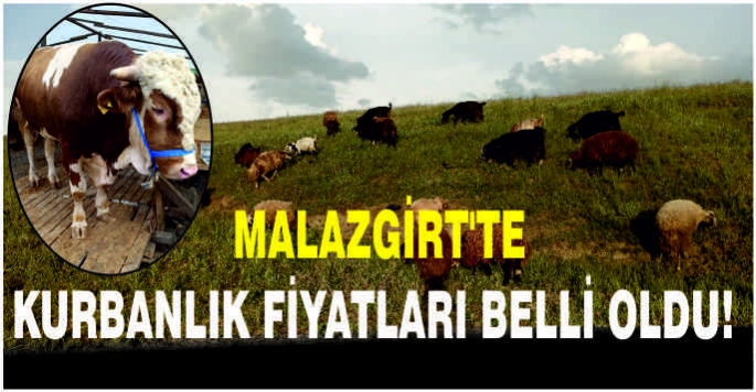 Malazgirt'te kurbanlık fiyatları belli oldu!