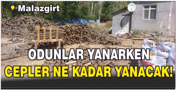 Malazgirt'te oduncular kışa hazır! Ya cepler? 