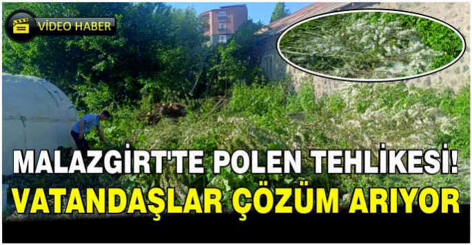 Malazgirt'te polen tehlikesi! Vatandaşlar çözüm arıyor